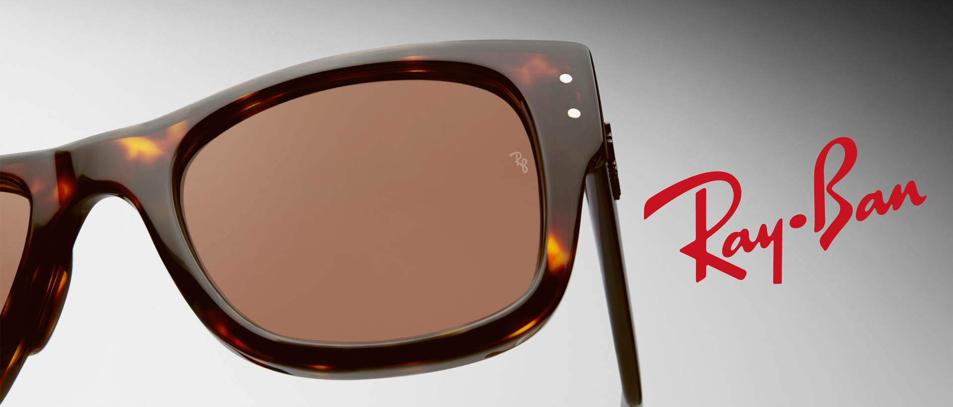RAY BAN