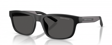 ARMANI EXCHANGE AX4169SU 500187
