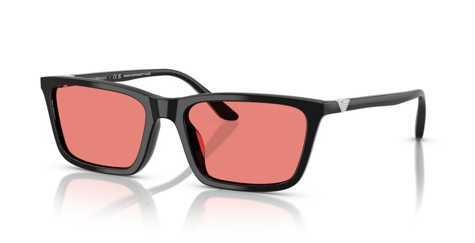 EMPORIO ARMANI EA4239U 5017/84