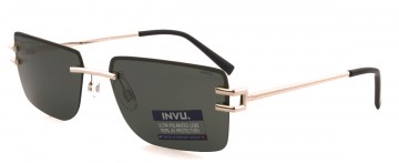 INVU IB12505 D