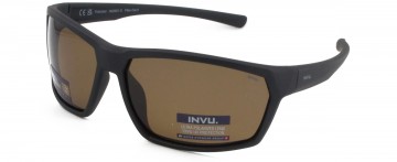 INVU IA22501 D