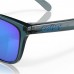 OAKLEY FROGSKINS OO9013-F6