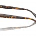 RALPH RALPH LAUREN RA 5324U 5003/13