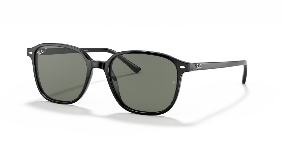RAY BAN RB 2193 LEONARD 901/58