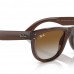 RAY BAN RB R0502S WAYFARER REVERSE 6709/CB