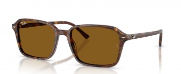 RAY BAN RAIMOND RB 2231 1418/33