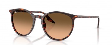 RAY BAN RB 2204 1429/3B