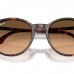 RAY BAN RB 2204 1429/3B