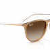 RAY BAN RB 4171 ERIKA 6814/13