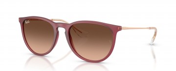 RAY BAN RB 4171 ERIKA 6815/A5