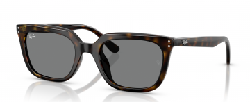 RAY BAN RB 4439D 710/87