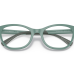 EMPORIO ARMANI EA 3204 5333