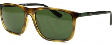 POLO RALPH LAUREN PH 4175 5003/71