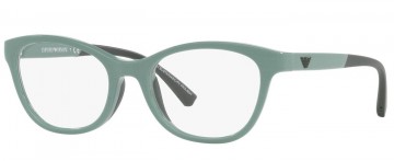 EMPORIO ARMANI EA 3204 5333