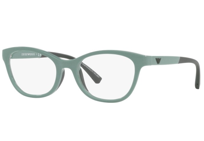 EMPORIO ARMANI EA 3204 5333