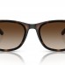 RAY BAN RB 4420 710/13