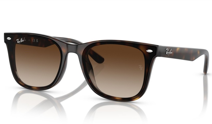 RAY BAN RB 4420 710/13