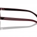 EMPORIO ARMANI EA 3147 5261