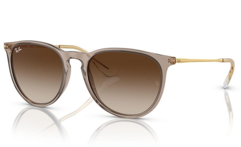 RAY BAN RB 4171 ERIKA 6744/13