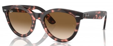 RAY BAN RB 2241 WAYFARER WAY 1334/51
