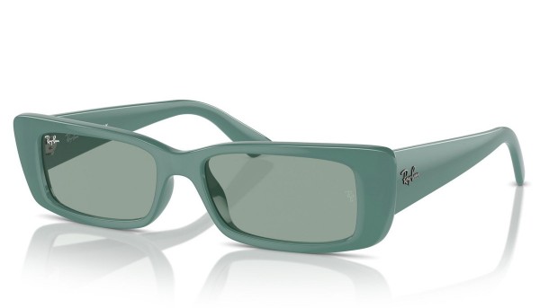 RAY BAN RB 4425 TERU 6762/82