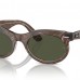 RAY BAN RB 2242 WAYFARER OVAL 1383/31