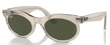 RAY BAN RB 2242 WAYFARER OVAL 1383/31