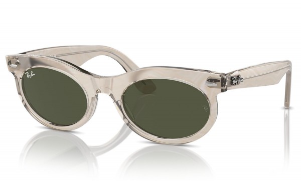 RAY BAN RB 2242 WAYFARER OVAL 1383/31