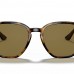 RAY BAN RB 4306 710/73