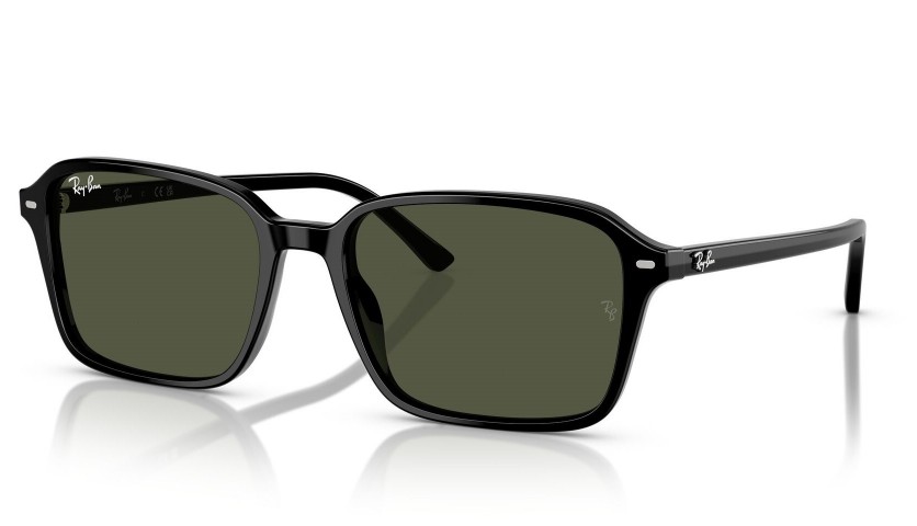 RAY BAN RAIMOND RB 2231 901/31