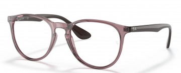 RAY BAN ERIKA RB 7046 8139